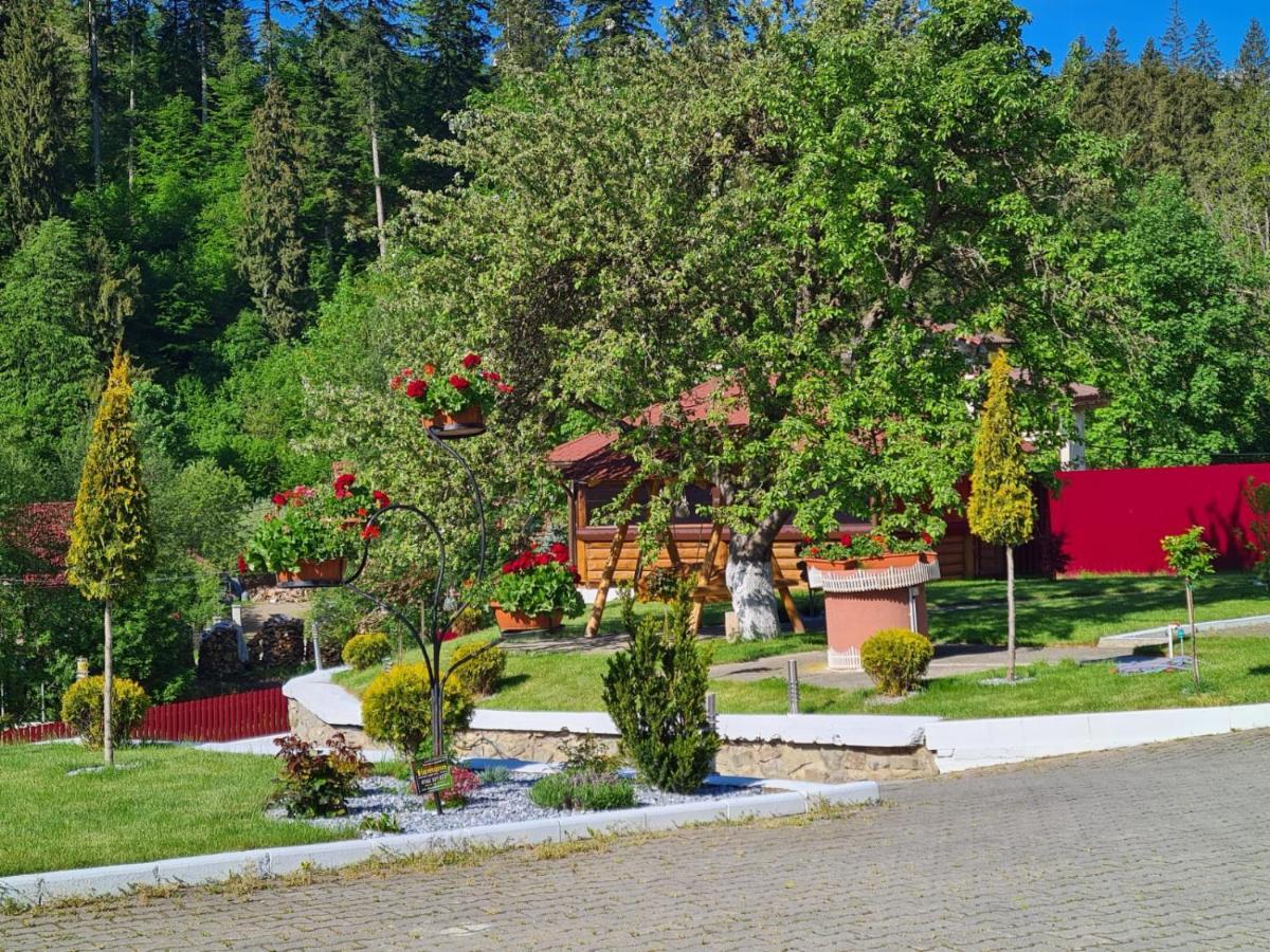 Pensiunea Andias Sucevita Extérieur photo